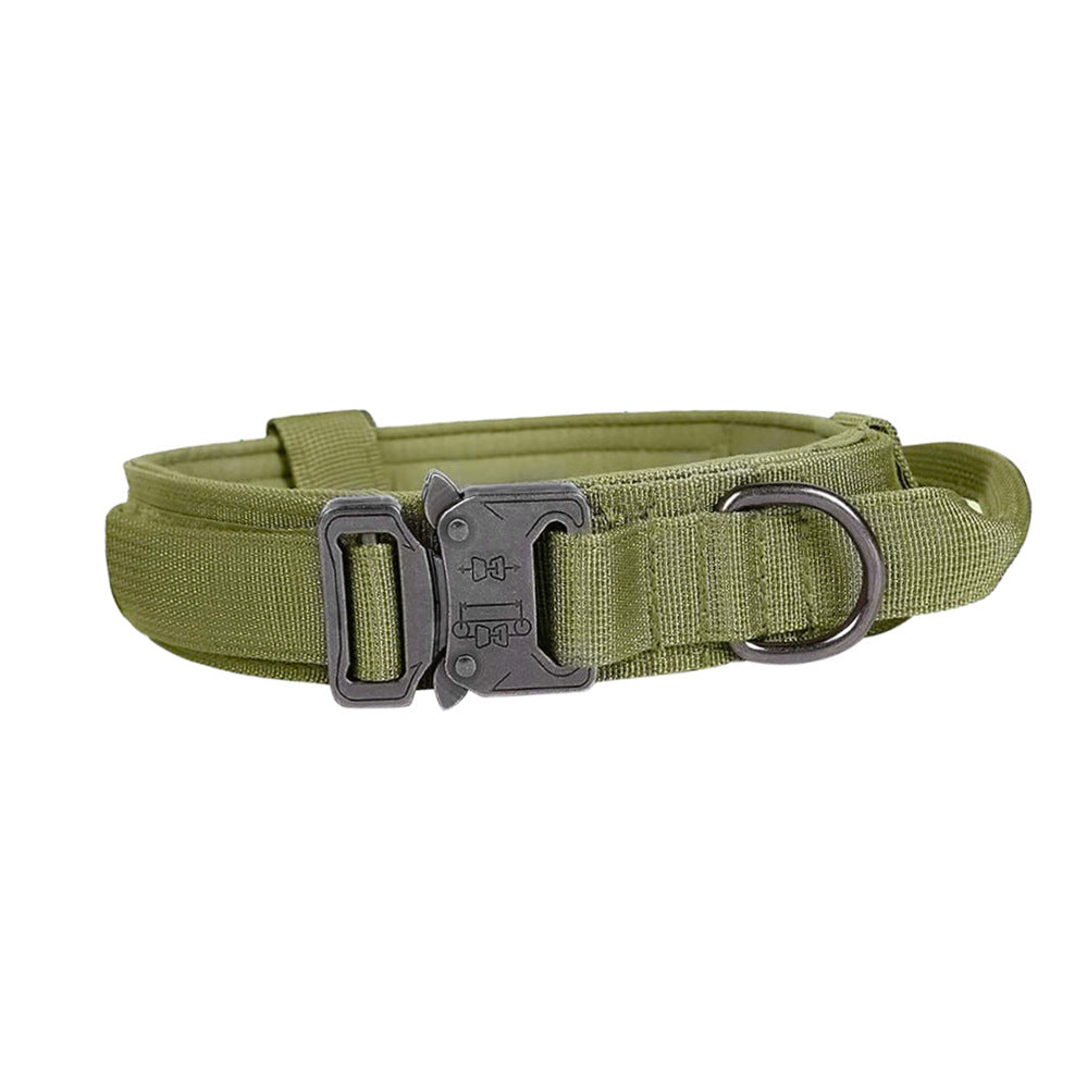 Green tactical belt with a silver buckle on a white background