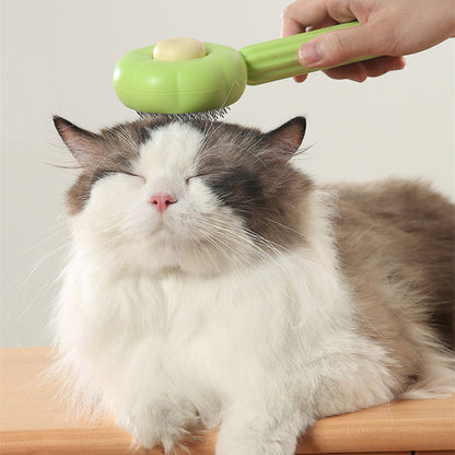 Cat being groomed with a green brush held by a hand on a light background