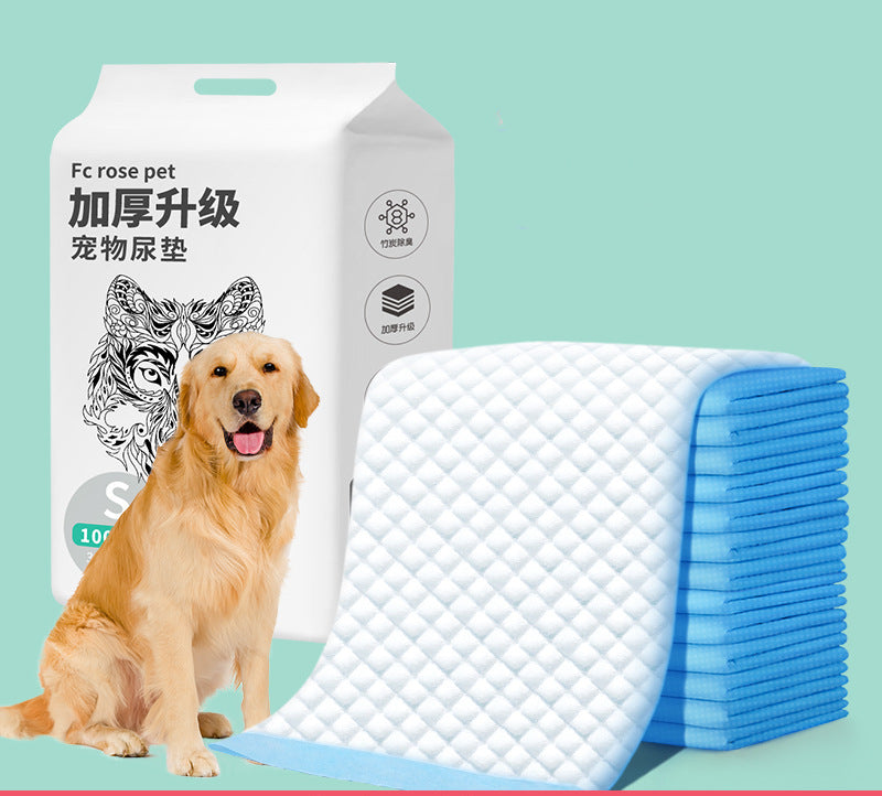 Dog sitting next to a package of pet pads with visible branding on a light blue background