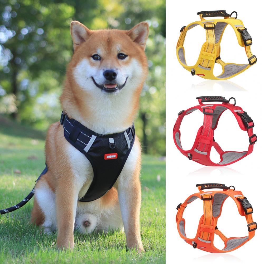 Dog wearing a black harness with three additional color options displayed below.