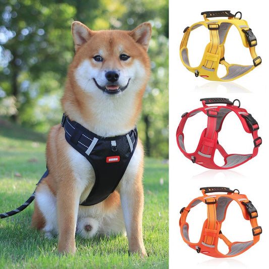 Dog wearing a black harness with three additional color options displayed below.