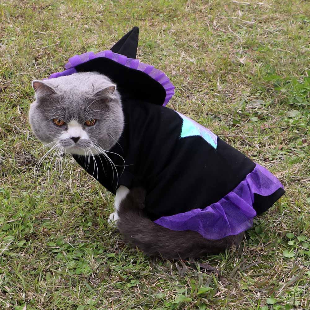 Cat wearing a witch costume with a purple hat and skirt on grass