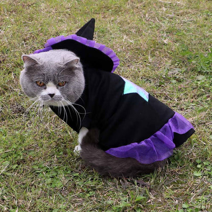 Cat wearing a witch costume with a purple hat and skirt on grass