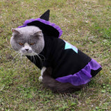 Cat wearing a witch costume with a purple hat and skirt on grass