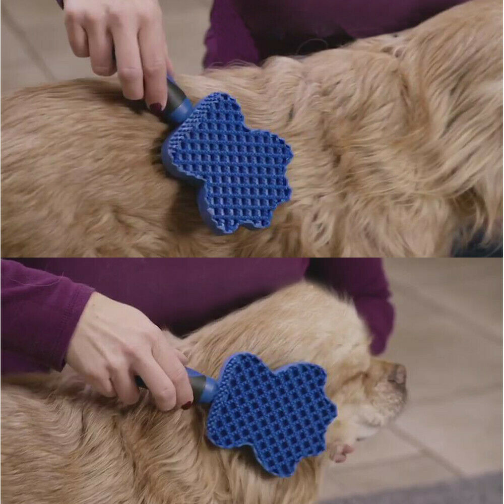 Person grooming a dog with a blue brush on a tiled floor.