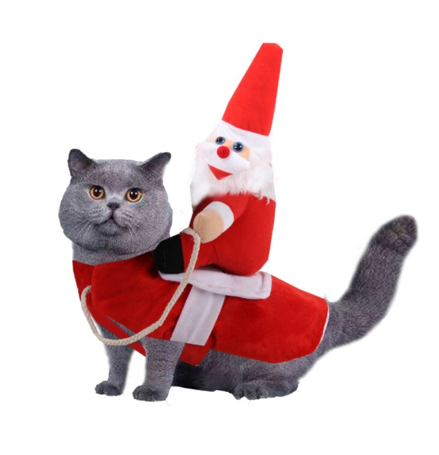 Cat wearing a Santa Claus costume with a matching toy on a white background