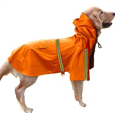 Dog wearing an orange raincoat with reflective stripes on a white background