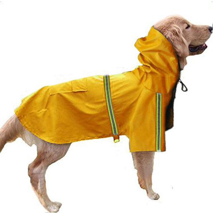 Dog Clothing & Wearables