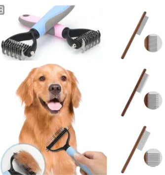 Dog with grooming tools including brushes and combs on a white background