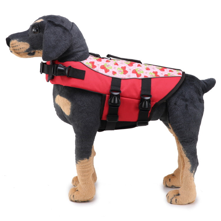 Dog wearing a red life jacket with floral pattern on a white background