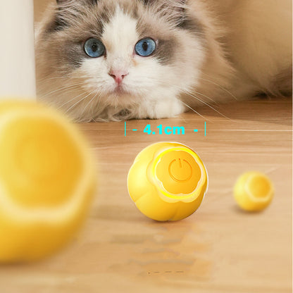 Rolling Ball Bite-Resistant Cat Toy