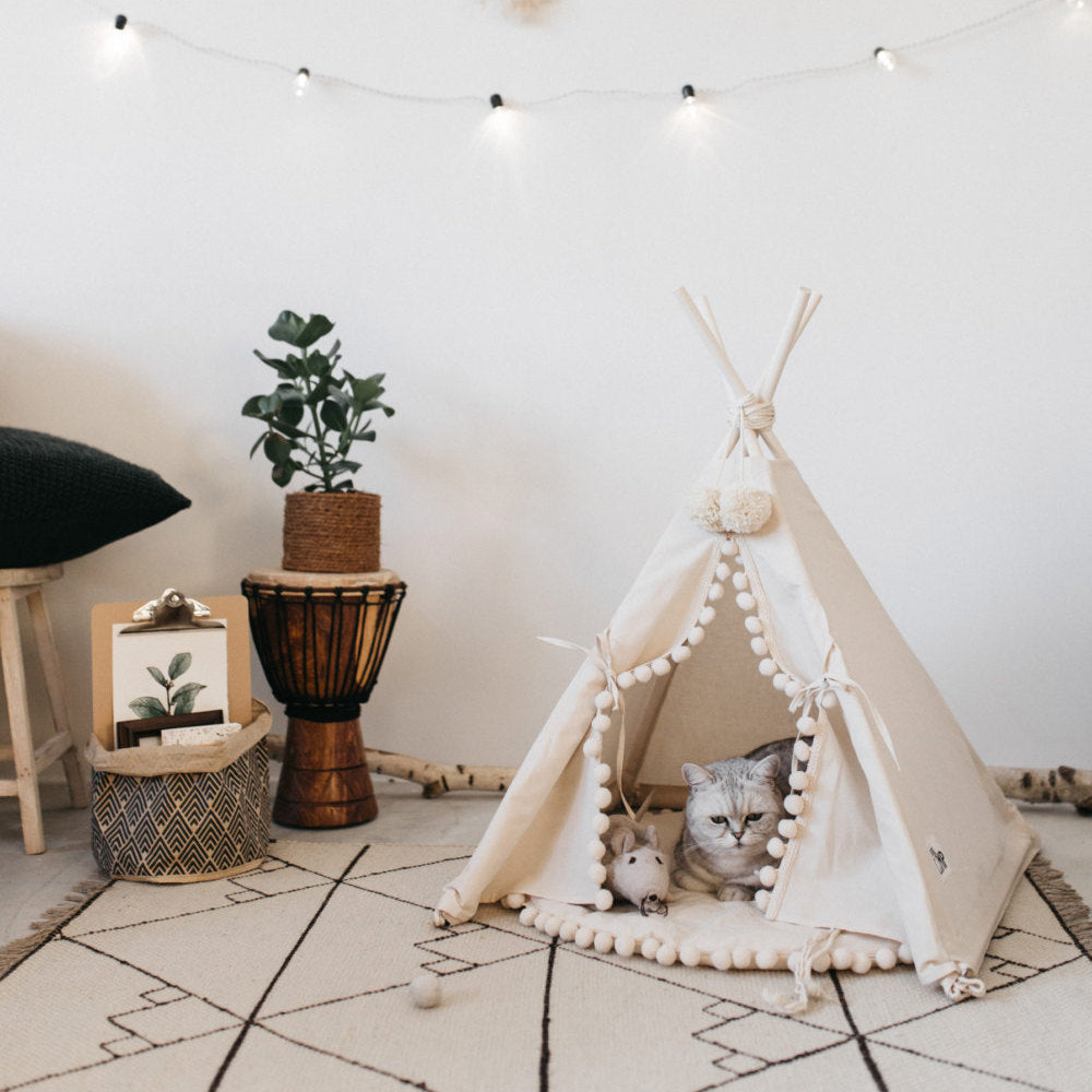 Cat inside a small tent with decorative elements in a room.