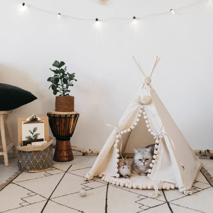Cat inside a small tent with decorative elements in a room.
