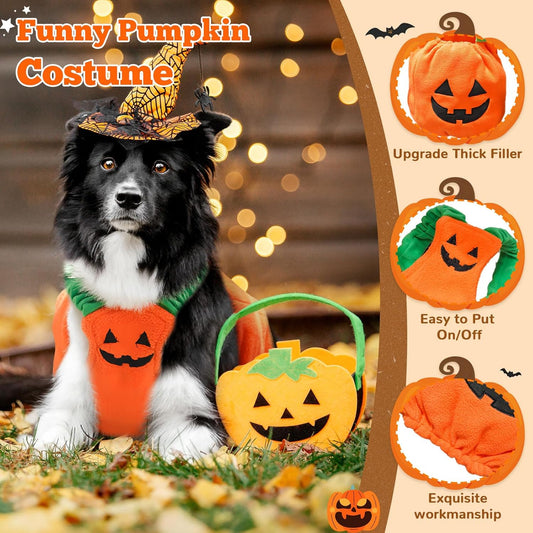 Plush pumpkin Halloween costume for small and medium dogs
