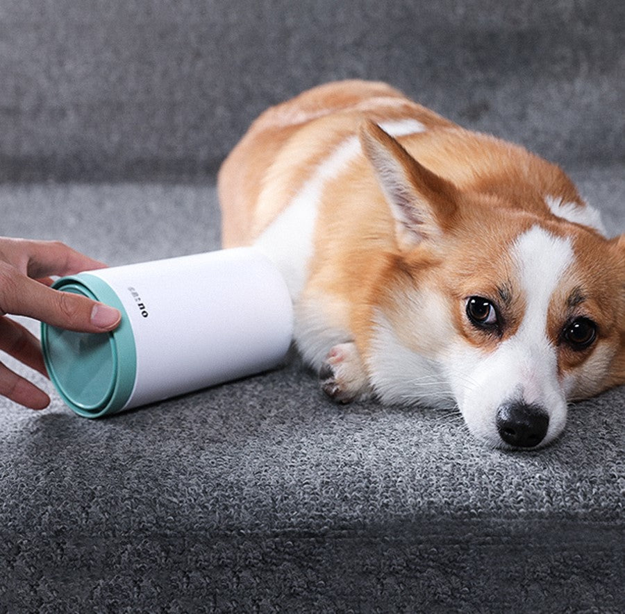 Silicone Comb Paw Cleaner Cup