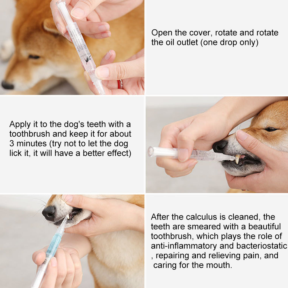 Instructions for using a dental care product on a dog with text overlay.