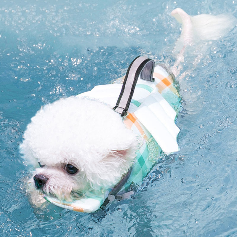 Small white dog wearing a life jacket, swimming in clear blue water.