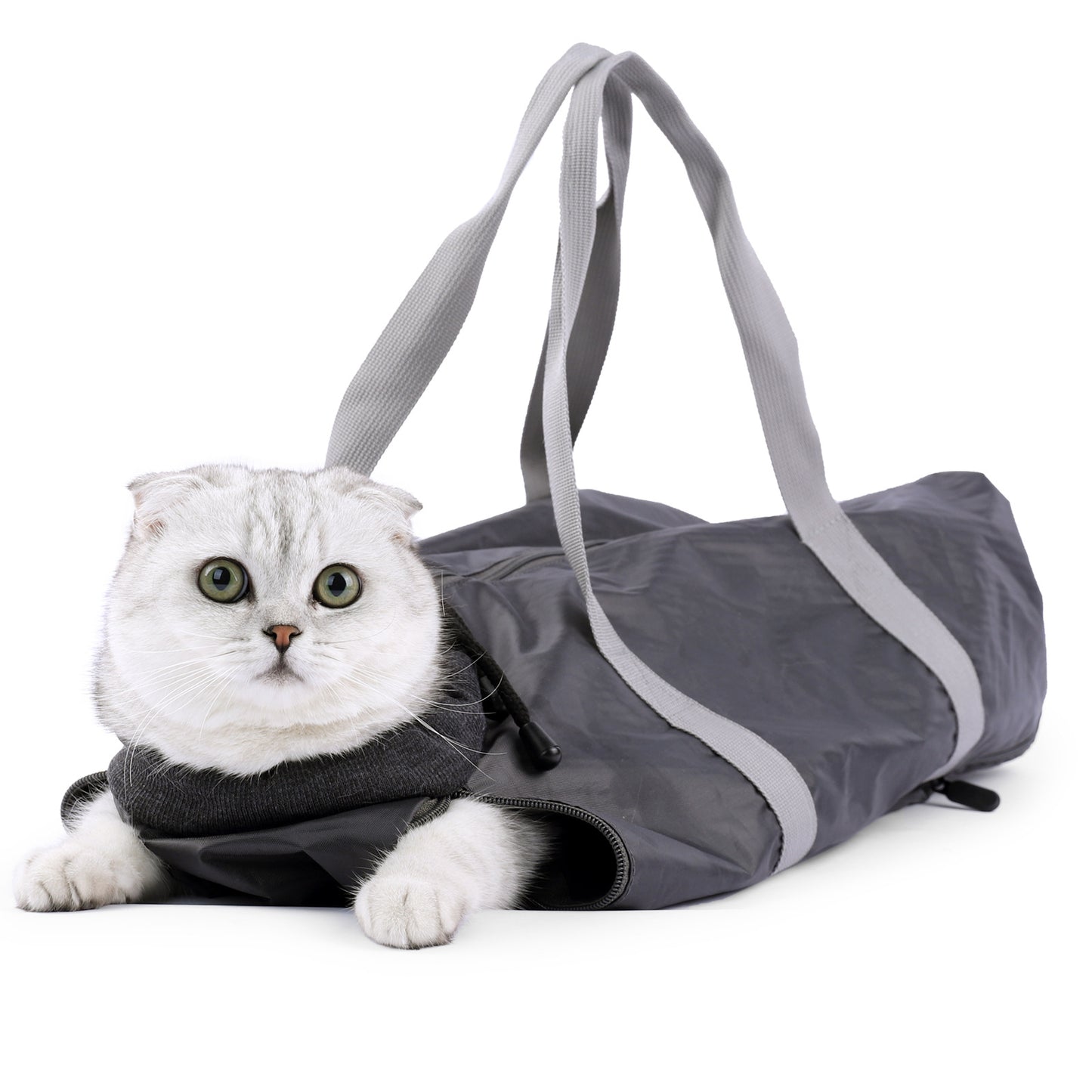 Cat inside a gray pet carrier on a white background