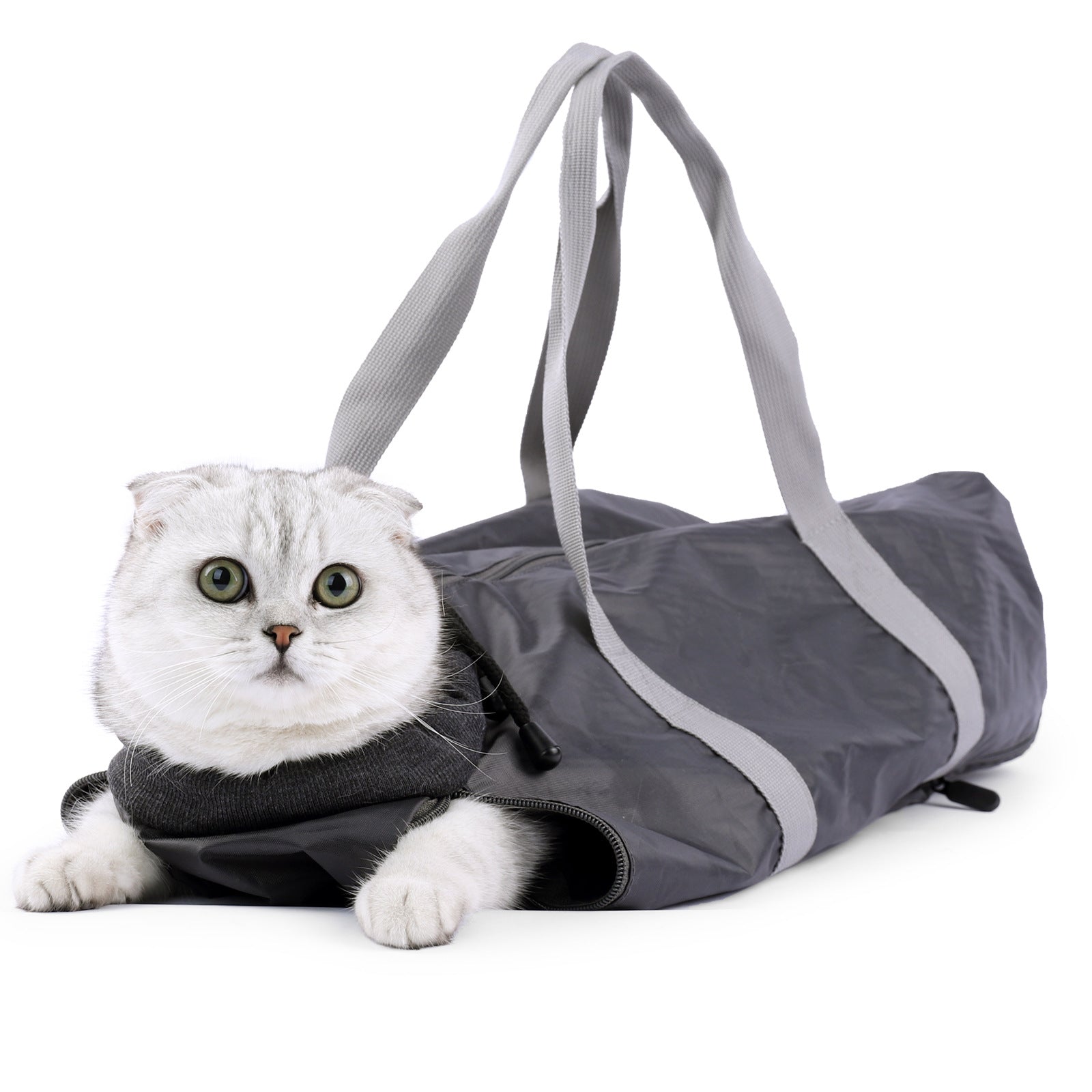 Cat inside a gray pet carrier on a white background