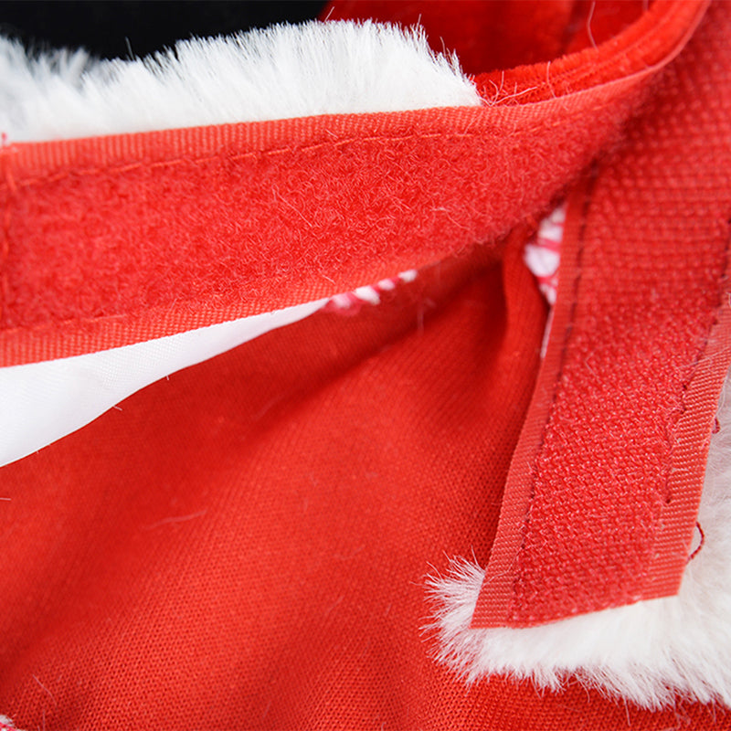 Close-up of the hook-and-loop fastening on a red Santa dog costume