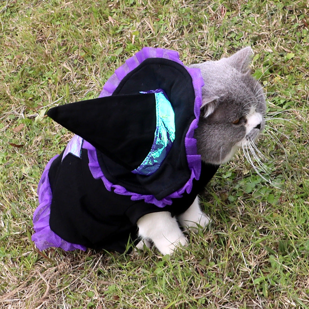 Cat wearing a black and purple costume with a hood on grass
