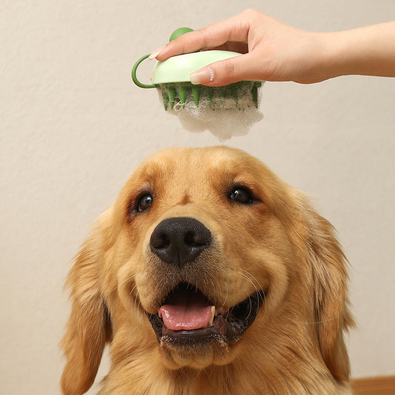 Dog being bathed with a green pet brush held above its head against a beige background