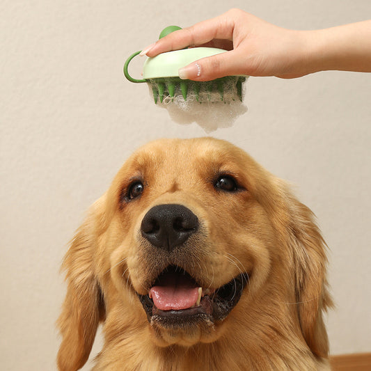 Dog being bathed with a green pet brush held above its head against a beige background