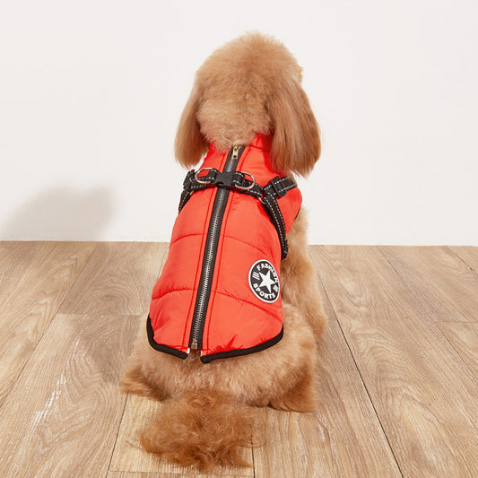 Small dog wearing a red puffer vest on a wooden floor