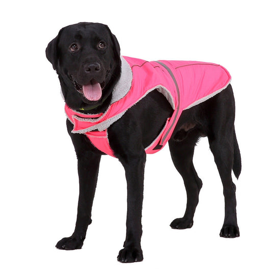 Black dog wearing a pink dog coat on a white background