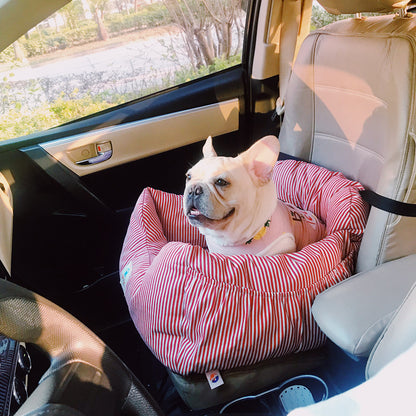 Dog in a striped pet seat cover inside a car