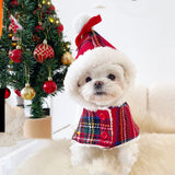Small white dog wearing a red plaid Christmas outfit sitting in front of a decorated Christmas tree.