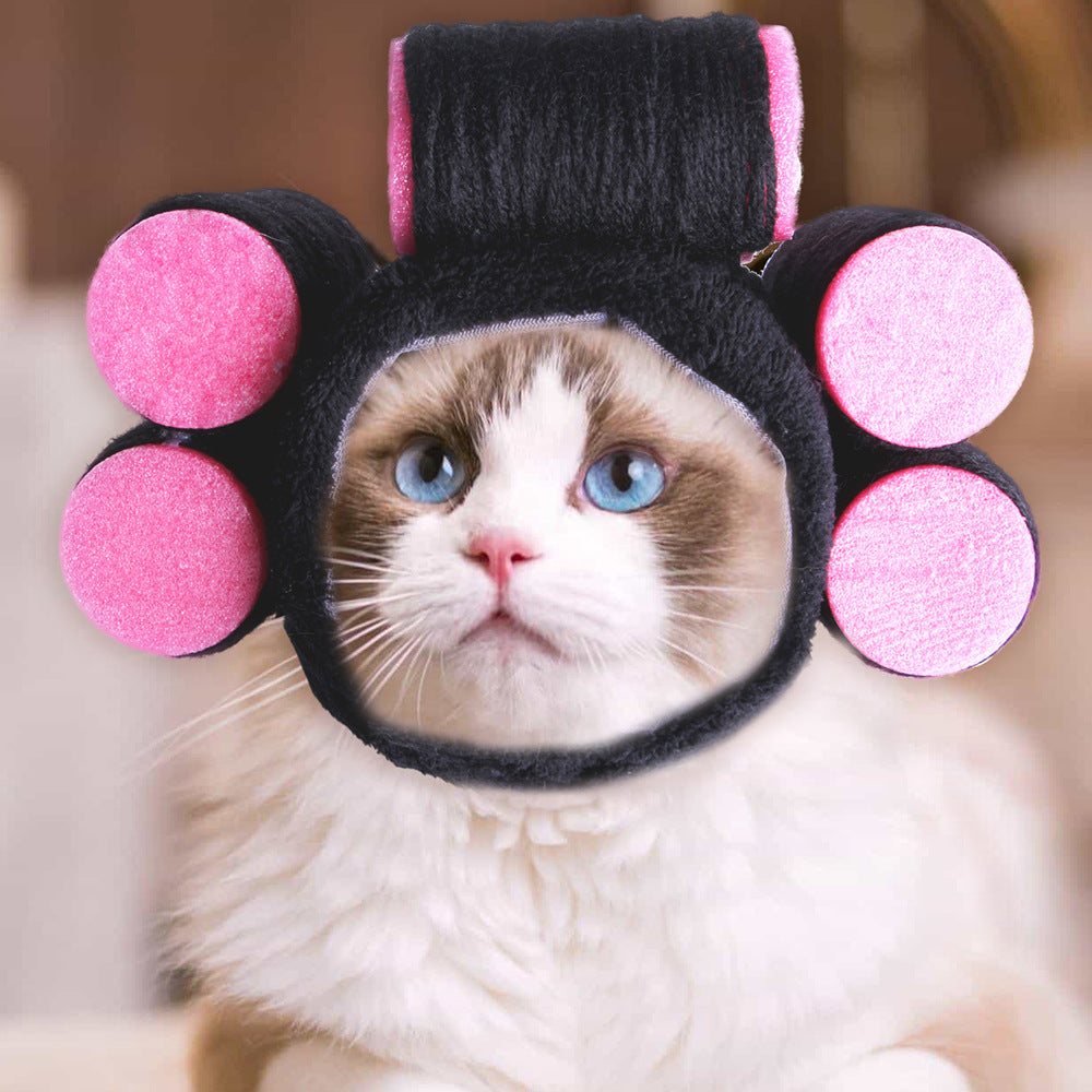 Cat Clothing & Wearables