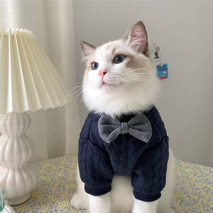 Cat wearing a navy blue outfit with a bow tie sitting on a surface.