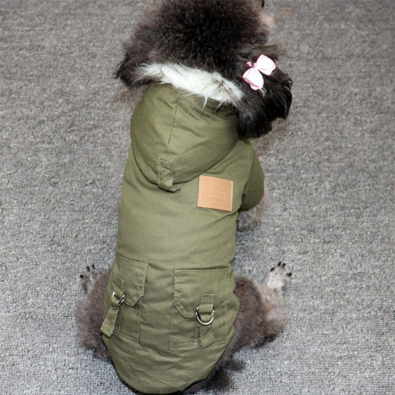 Dog wearing a green winter coat with fur-lined hood on a gray carpet.