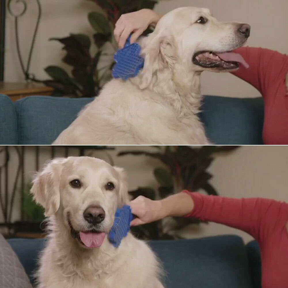 Two images of a dog being petted by a person with a blue toy, one with a blurred background and one with a clear background.