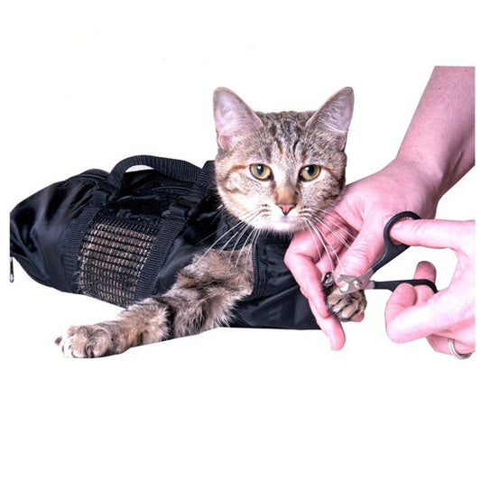 Cat being groomed with a black grooming bag on a white background