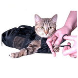 Cat being groomed with a black grooming bag on a white background
