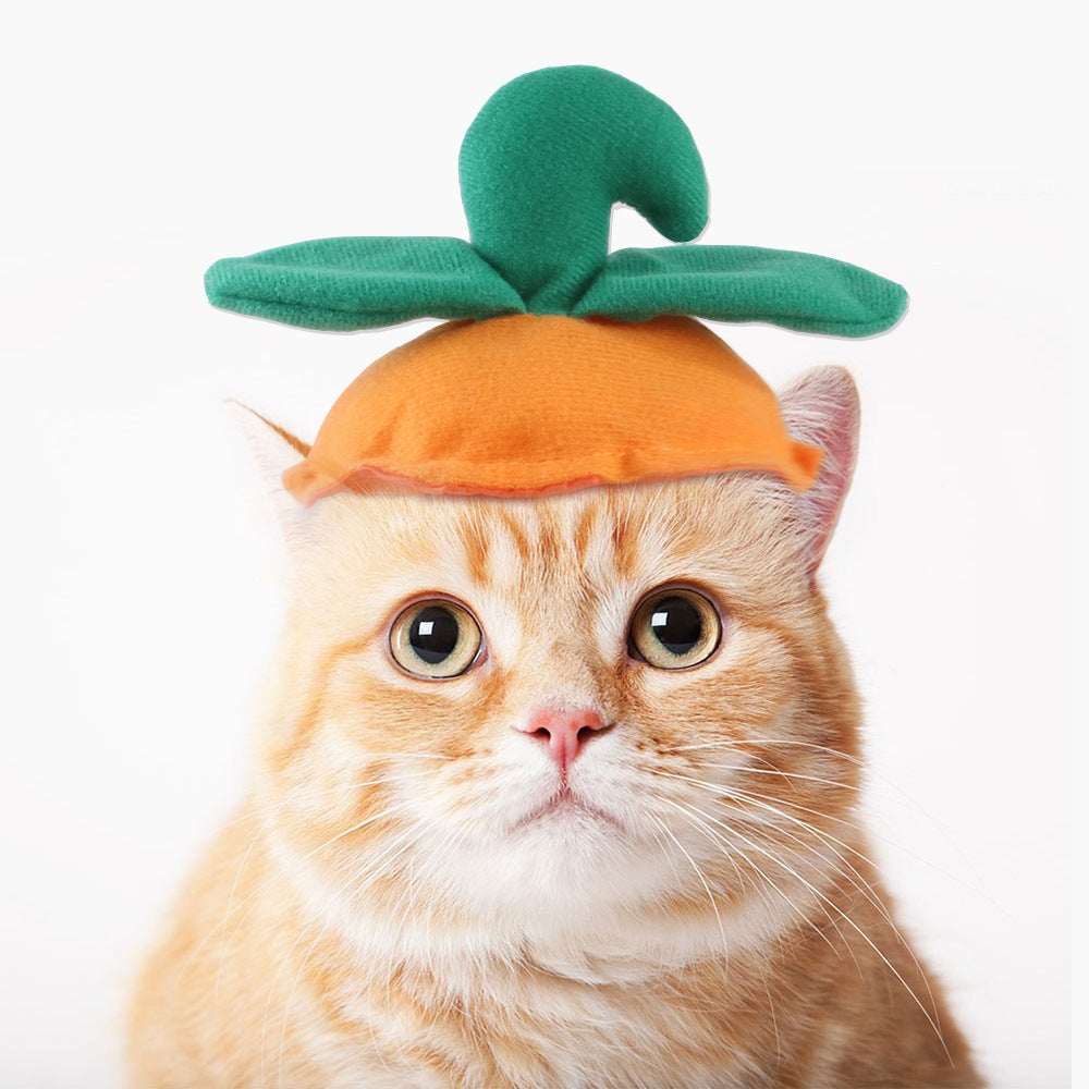 Cat wearing a carrot-shaped hat with a green top on a white background