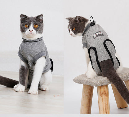 Two cats wearing gray sweaters on a light wooden floor.