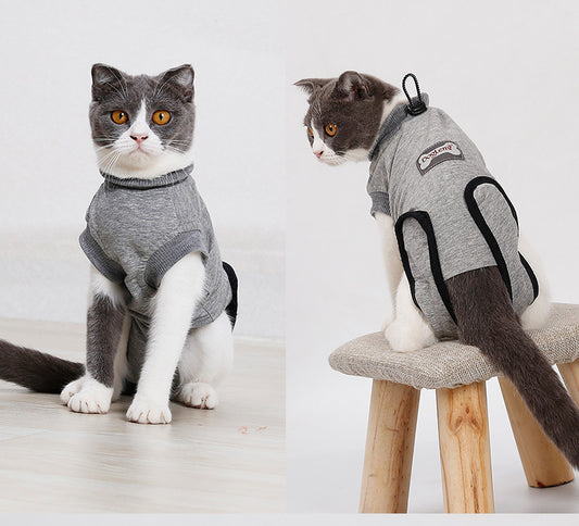 Two cats wearing gray sweaters on a light wooden floor.