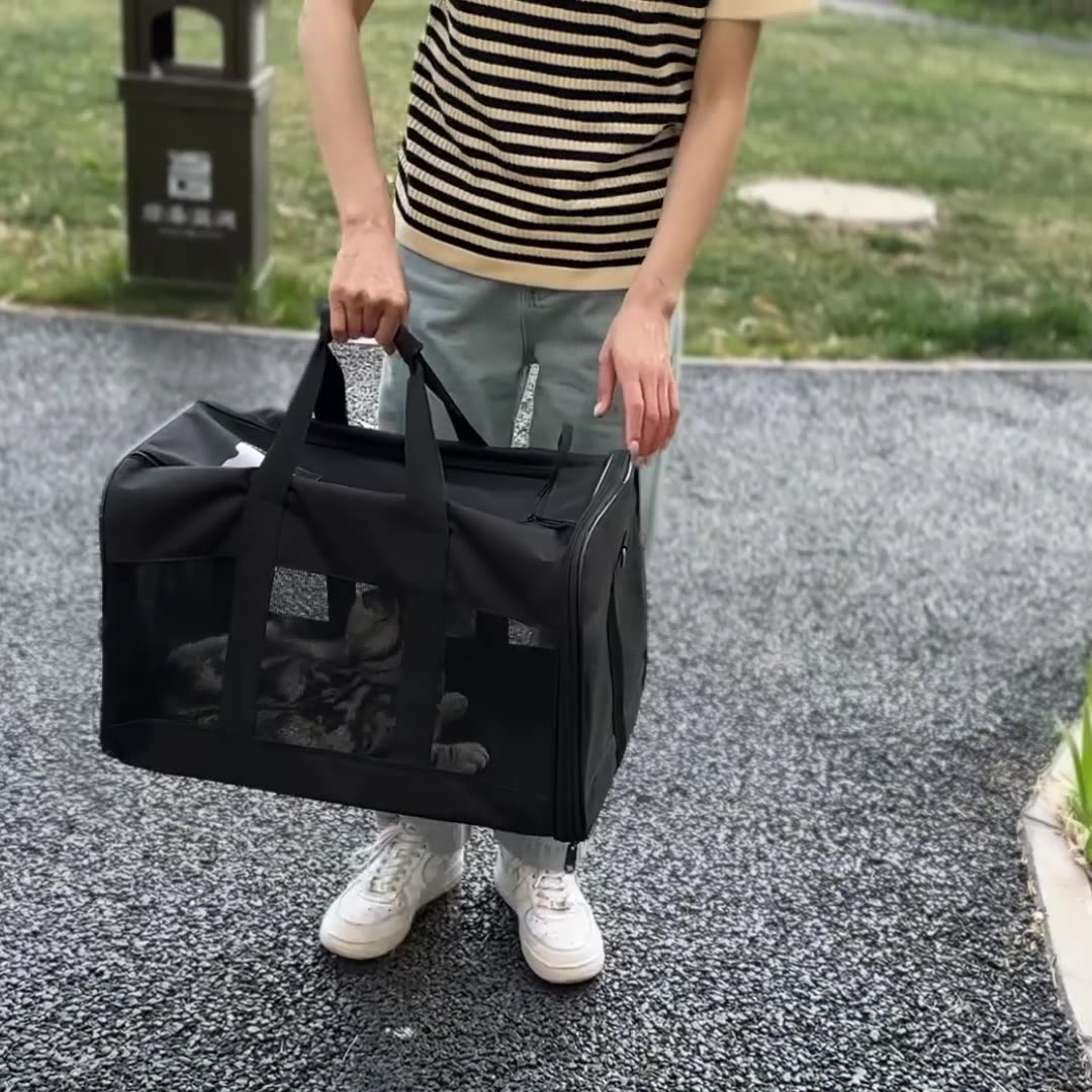 Person holding a black pet carrier outdoors on a paved surface.