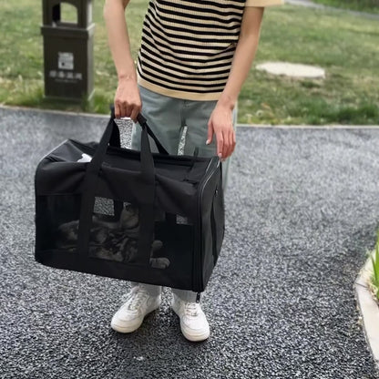 Person holding a black pet carrier outdoors on a paved surface.