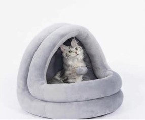 Cat inside a gray pet bed on a white background