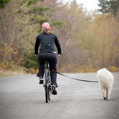 Person riding a bike with a dog on a leash in a forested area