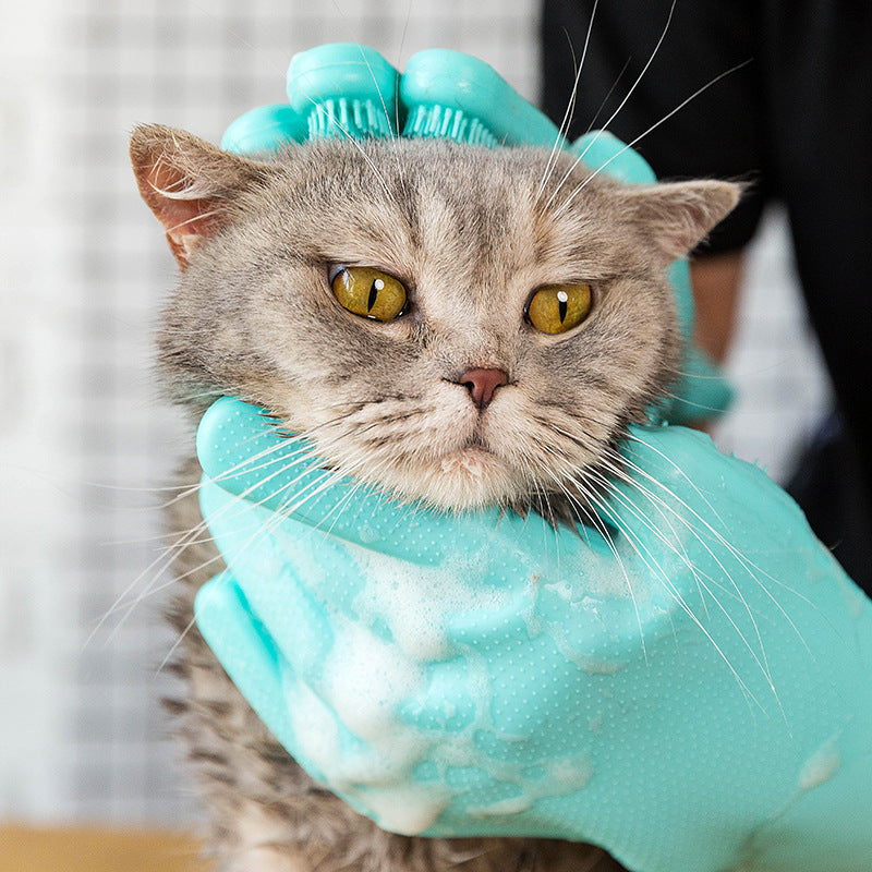 Cat being bathed with a blue scrubbing glove
