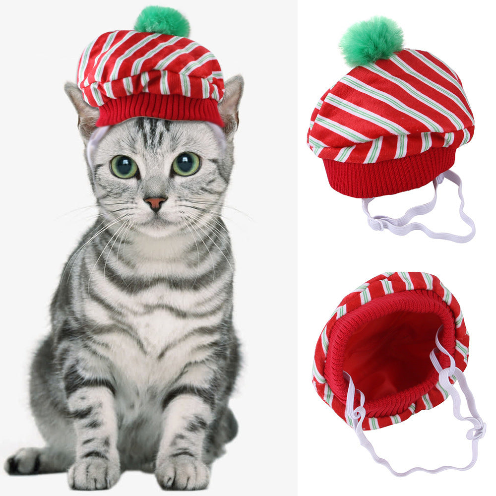 Cat wearing a red and white striped hat with a green pom-pom, next to the hat on a white background.