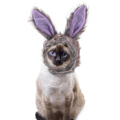 Dog wearing a bunny costume with purple ears on a white background
