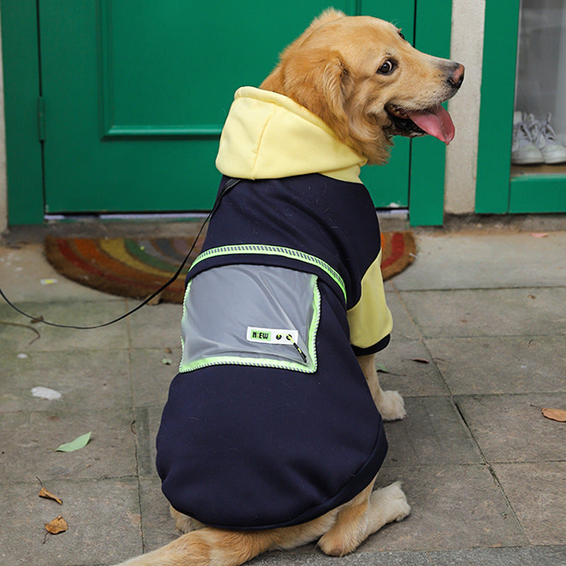 Dog wearing a black and yellow hoodie sitting on a pavement.
