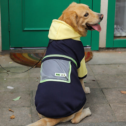 Dog wearing a black and yellow hoodie sitting on a pavement.