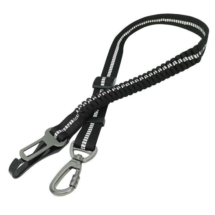 Black and silver dog leash with carabiner on a white background